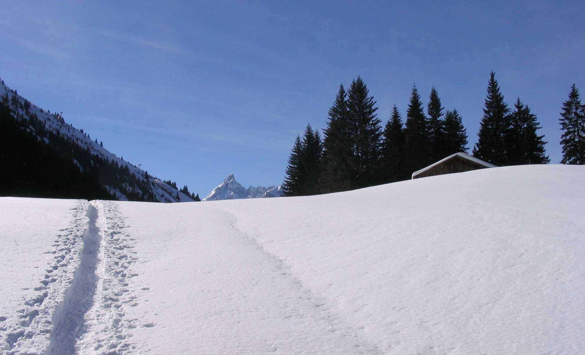 PN BOIS Charpente et menuiserie à Marnaz Haute-Savoie 74